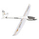 Multiplex Cularis RR - 264218