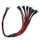 Amass Multi balanseringskabel - 6x 3s XH