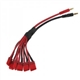 Amass Multiladekabel - 6x Deans