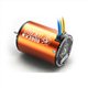 SkyRC Toro 3650 1/10 3900KV Brushless motor 4P SL