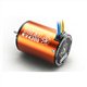 SkyRC Toro 3650 1/10 4300KV Brushless motor 4P SL