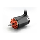 SkyRC Beast X528 2Y 780KV 1/5 BL-motor