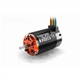 SkyRC Toro X8 Brushless Motor 1/8 2650KV