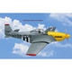 GP Combat Mustang .25 ARF