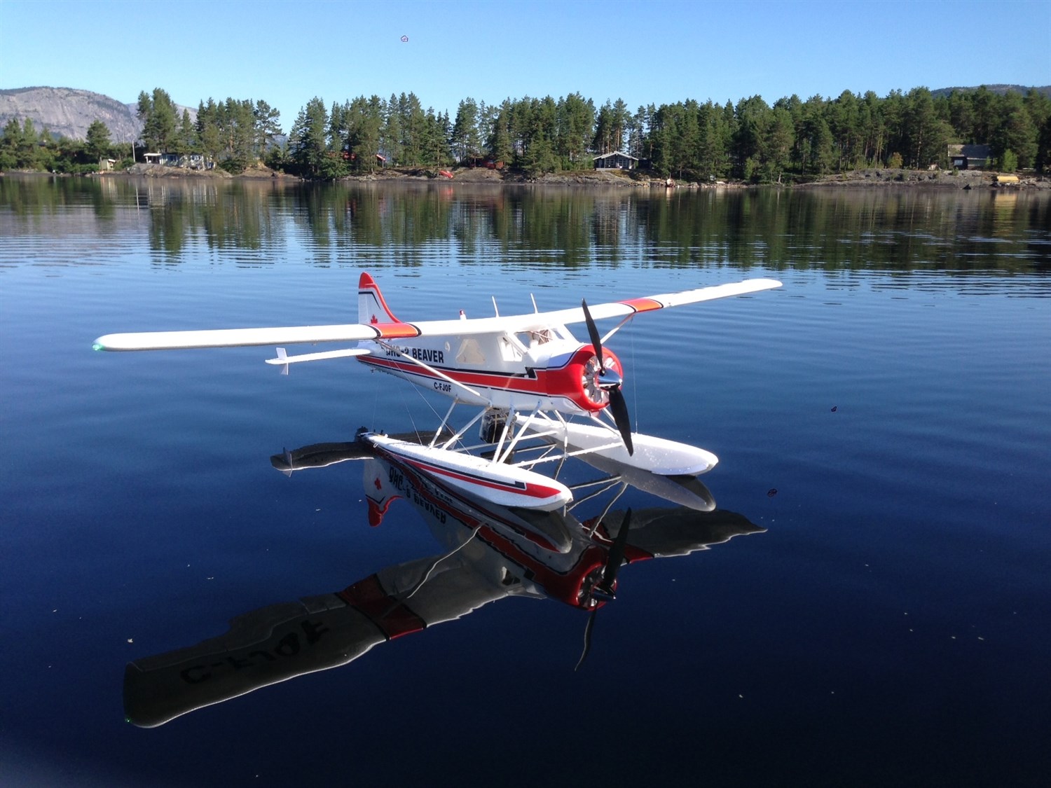 Beaver on floats