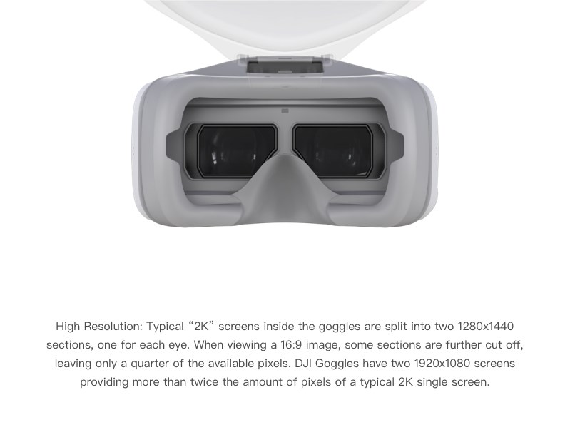 DJI Goggles  