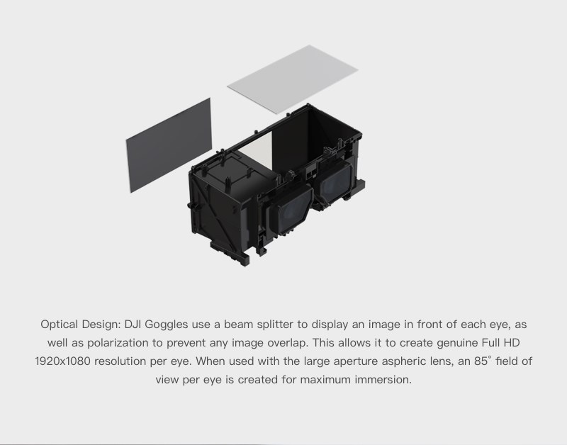 DJI Goggles  