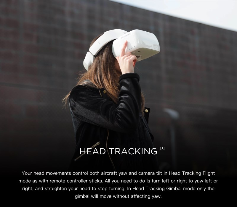 DJI Goggles  