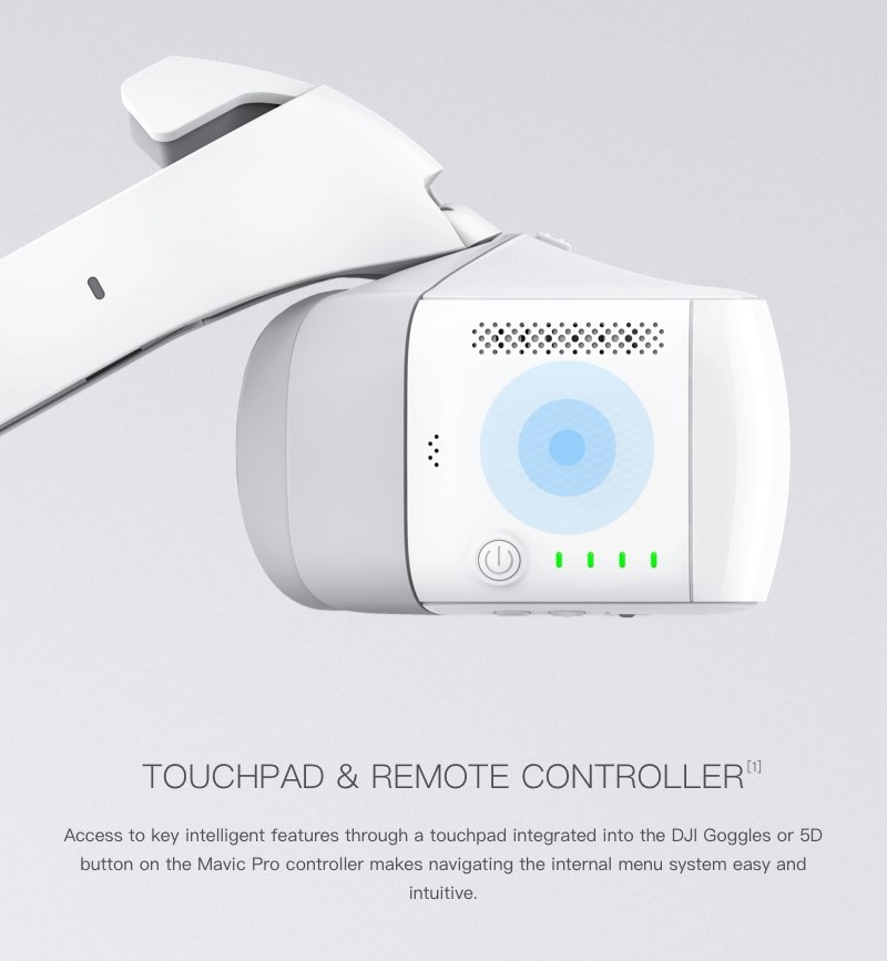 DJI Goggles  