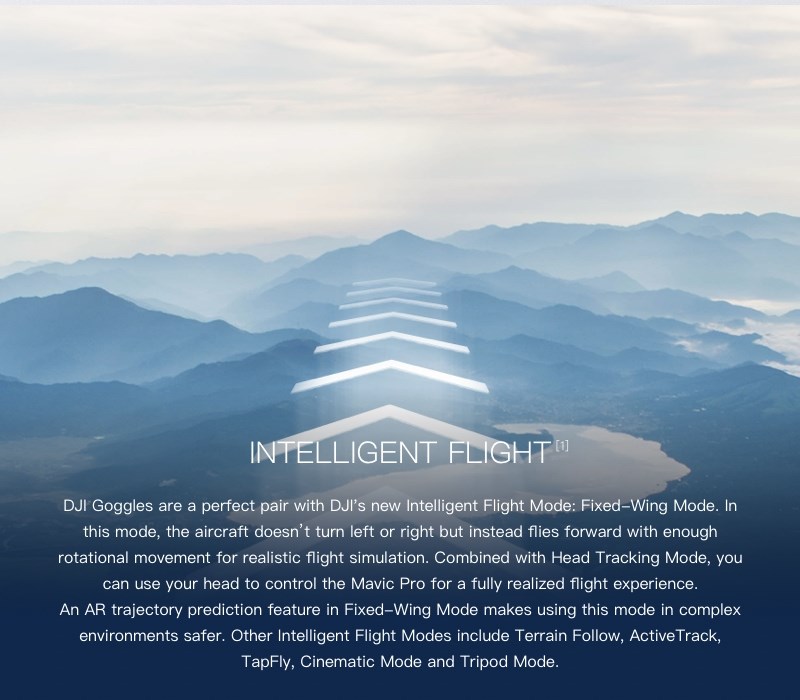 DJI Goggles  