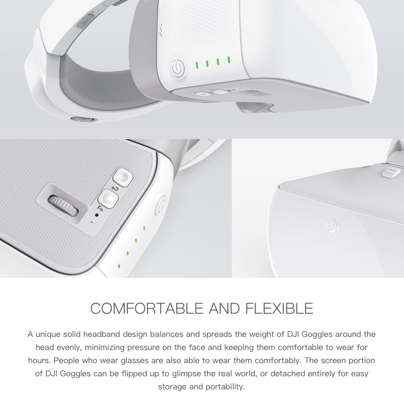 DJI Goggles  