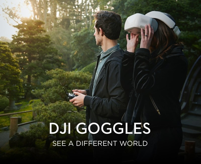 DJI Goggles  