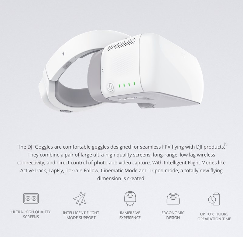 DJI Goggles  
