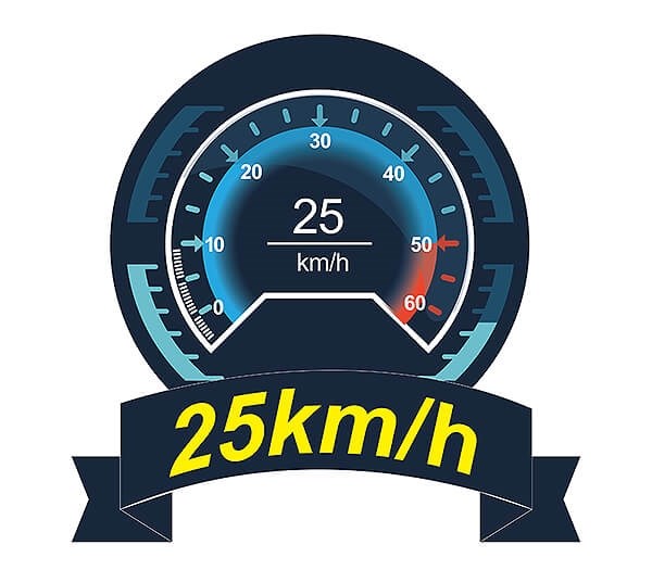 Joysway Smart Cat - 25km/t - 2.4G RTR