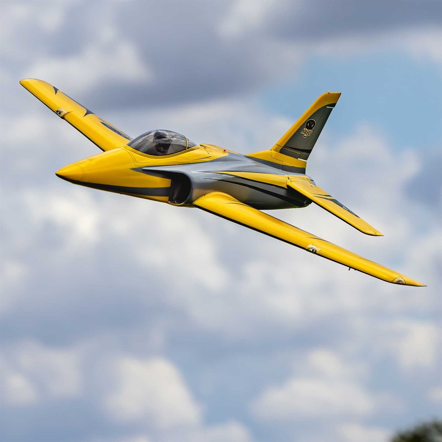 E-Flite Habu XS 80mm EDF PNP