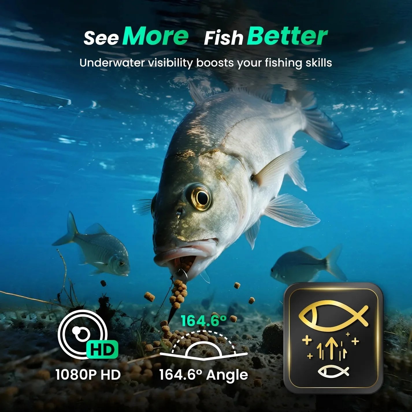 Chasing CF1-25 - Live Underwater Fishing Camera