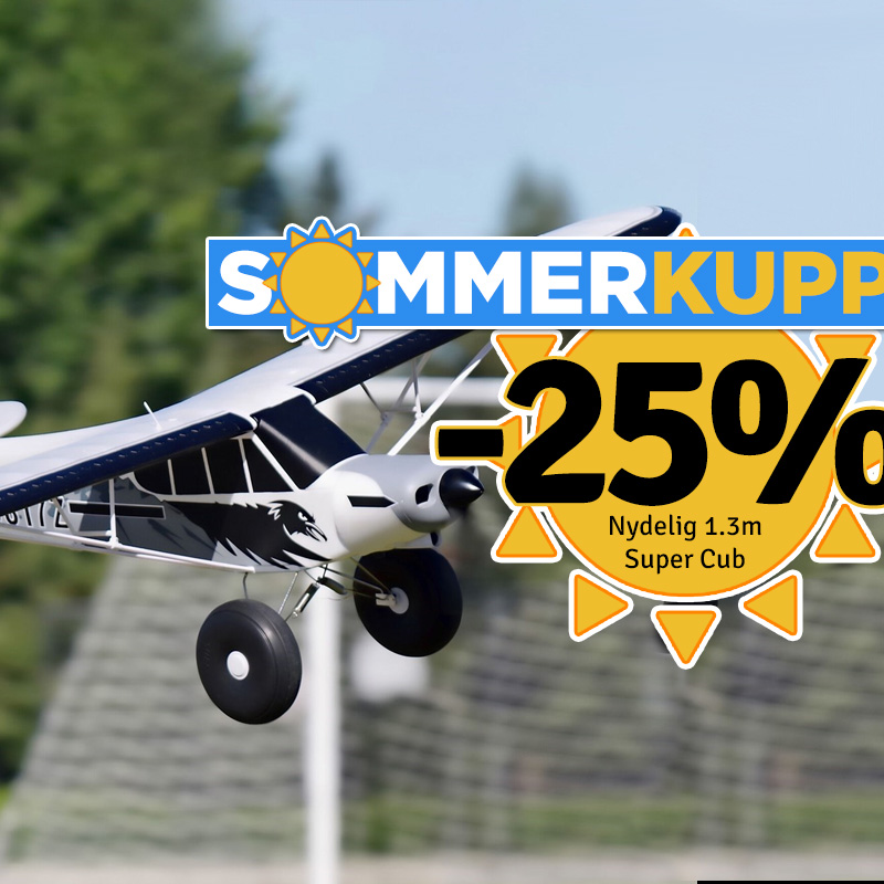 SommerKupp! FMS PA-18 Super Cub