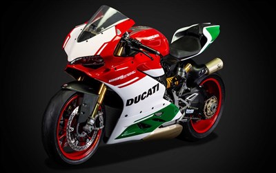 Pocher Ducati 1299 Panigale R Final Edition - 1:4